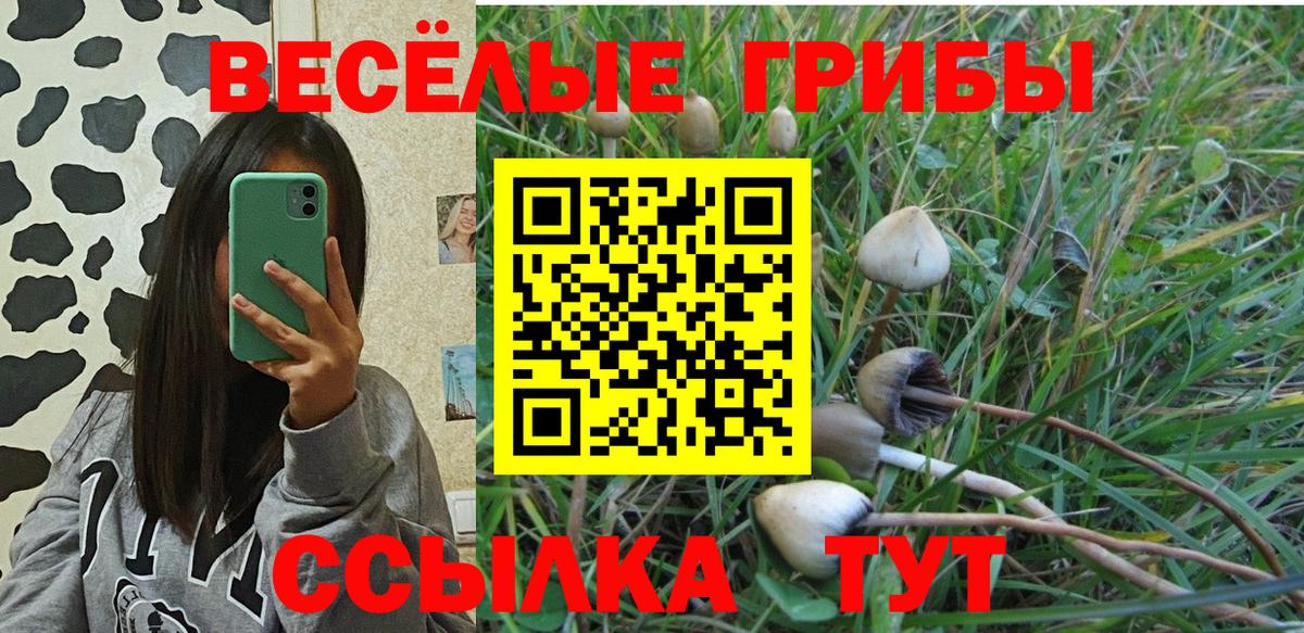 Псилоцибиновые грибы Psilocybine cubensis Мыски