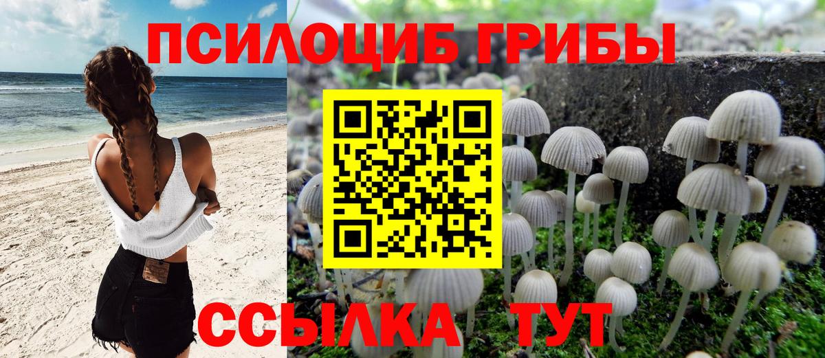 Мыски  Галлюциногенные грибы GOLDEN TEACHER  Вход с VPN 