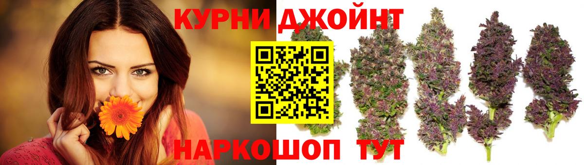 Каннабис индика  Бошки Шишки план  Вход с VPN  Канабис планчик  Канабис семена  Мыски 